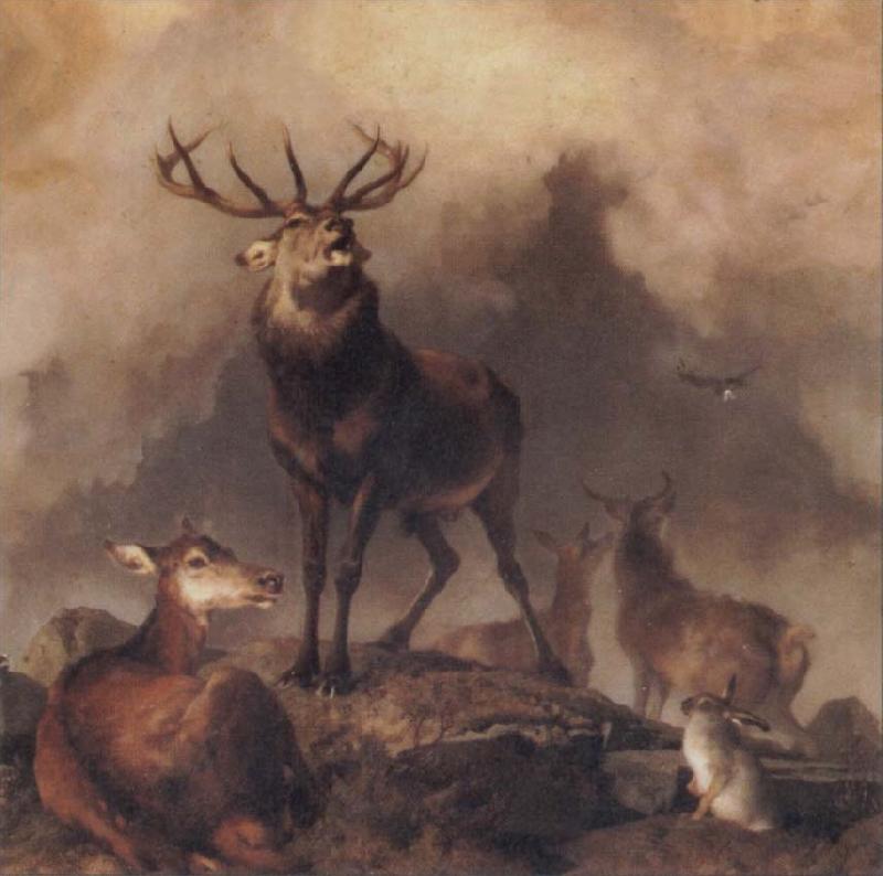 Sir Edwin Landseer A Majestic Gathering oil painting image